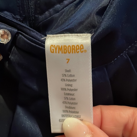 Beautiful girls’ Gymboree party dress - Picture 6 of 9